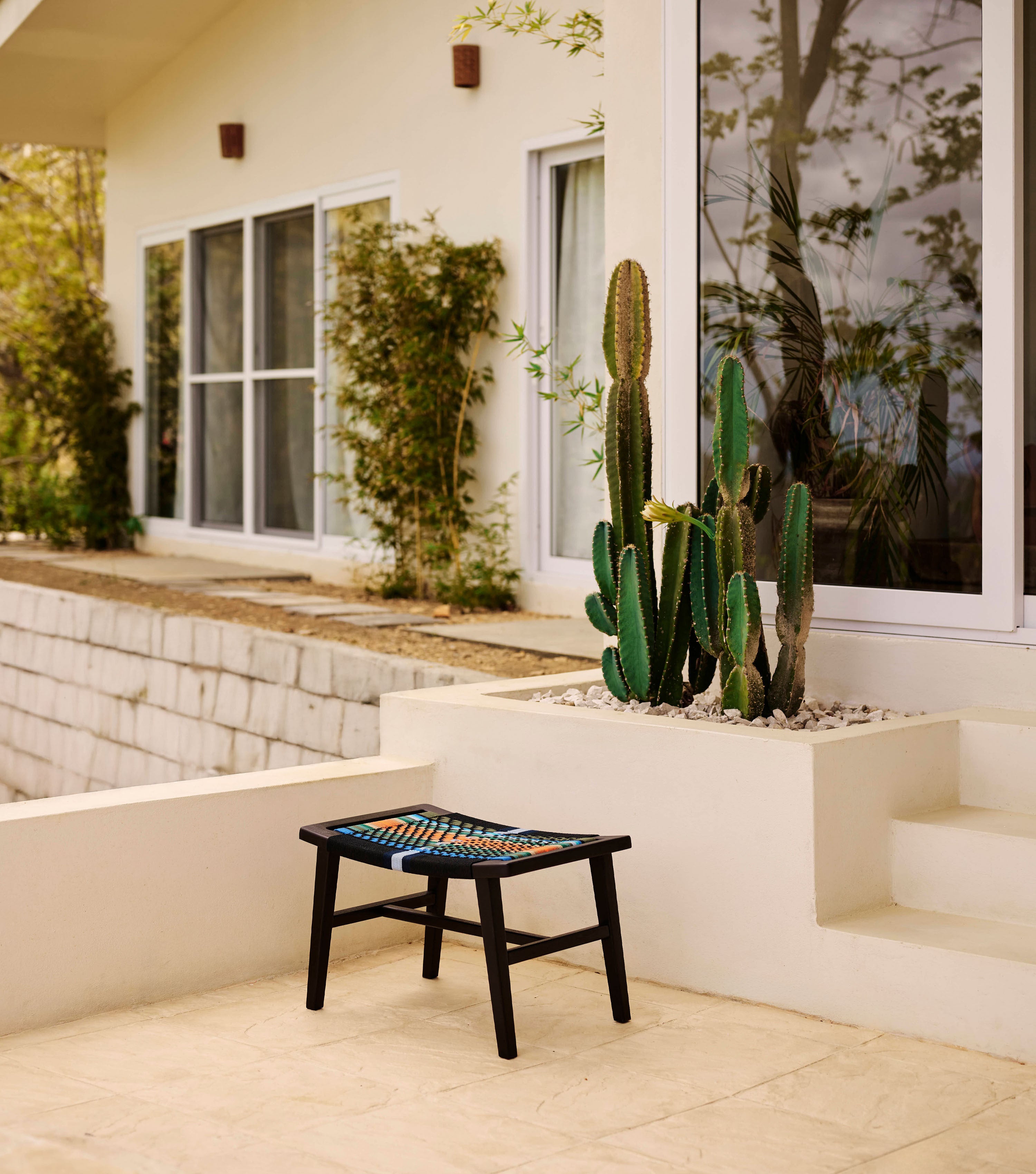 Charcoal / Mot Mot Pattern